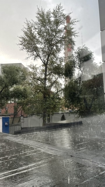 Дрожал в окне невыспавшийся лик