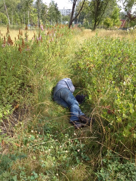 Просветление