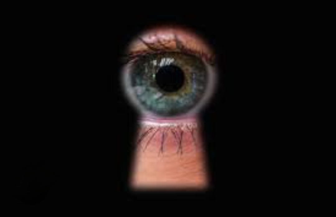 Любке юристке с приветом