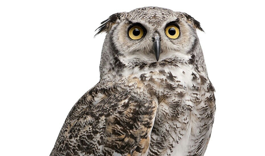 Самооценка