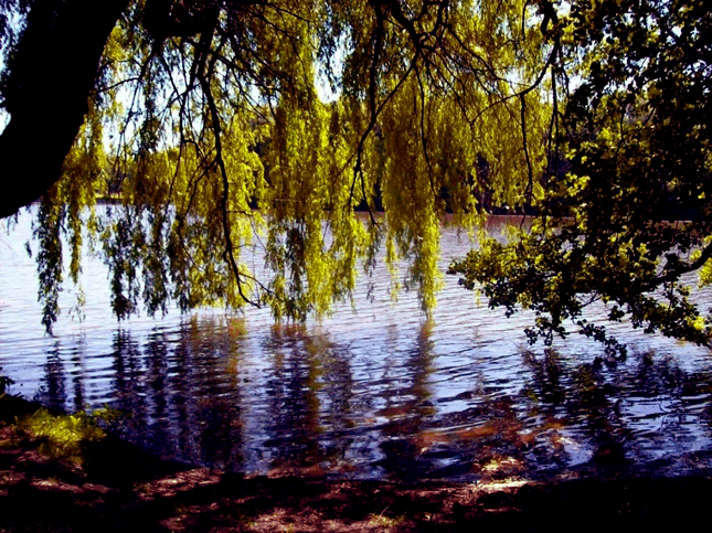 Алёнкины истории. Глава 11