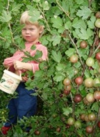 Добрая Леночка