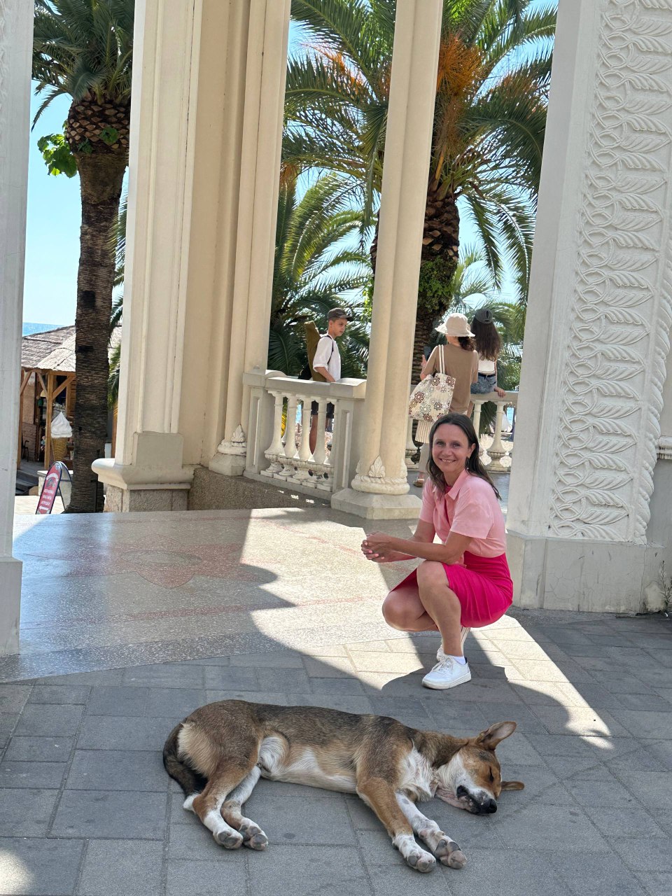 Собаки Абхазии