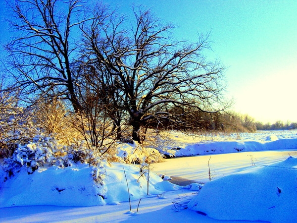 Эмили Дикинсон J1504 Дорогое имя