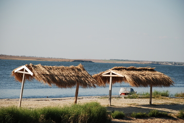 Всегда молодой