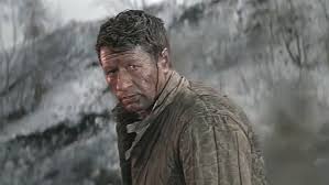 Я жизнь свою за Родину отдал...