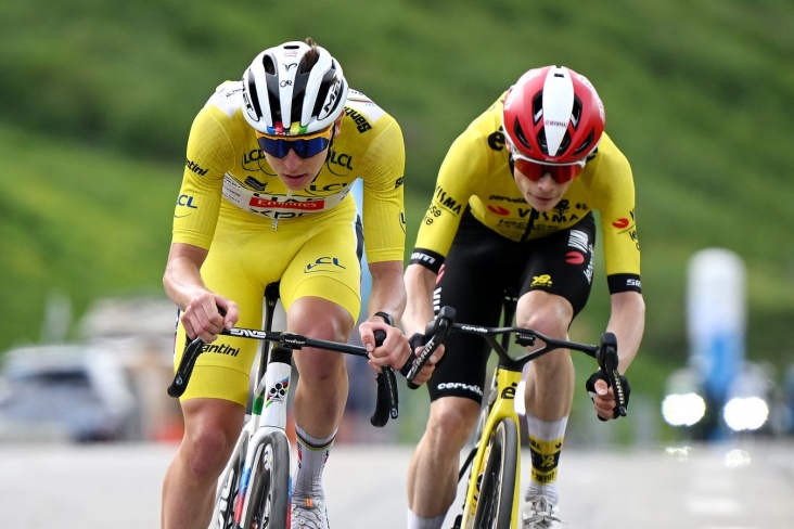 Тадей ПогАчар