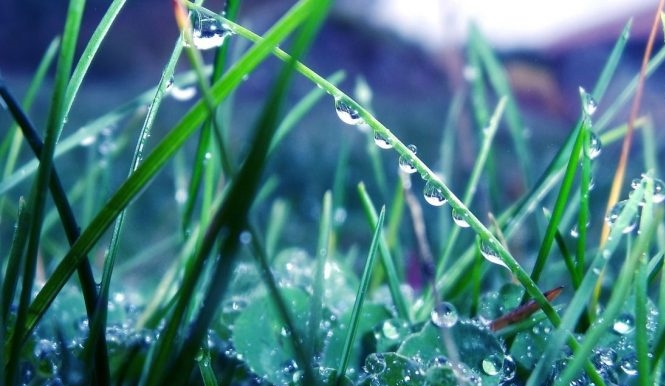 Послание Творца