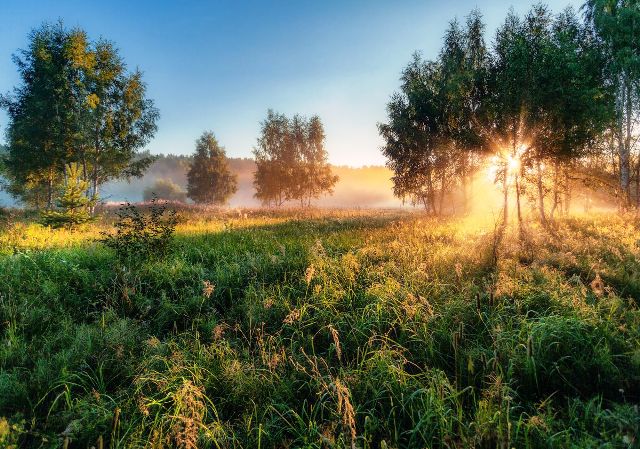 Утренний рассвет