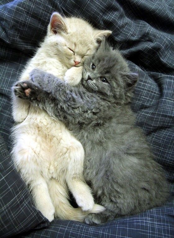 PRO Я без брата не уйду