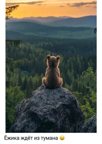 Мишка в дзен