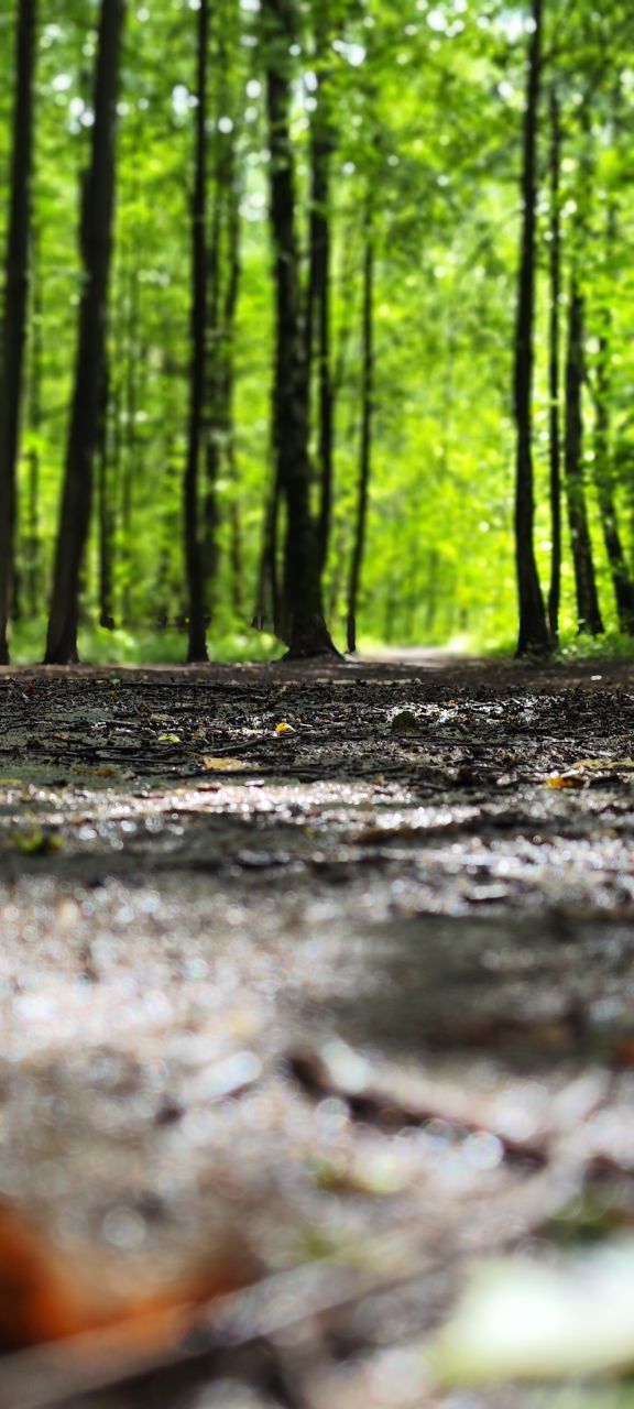 Берлога или якорь?