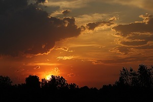 Оно, отработав...