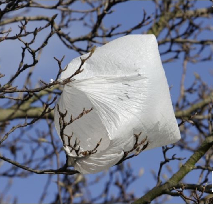 Разовый пакет