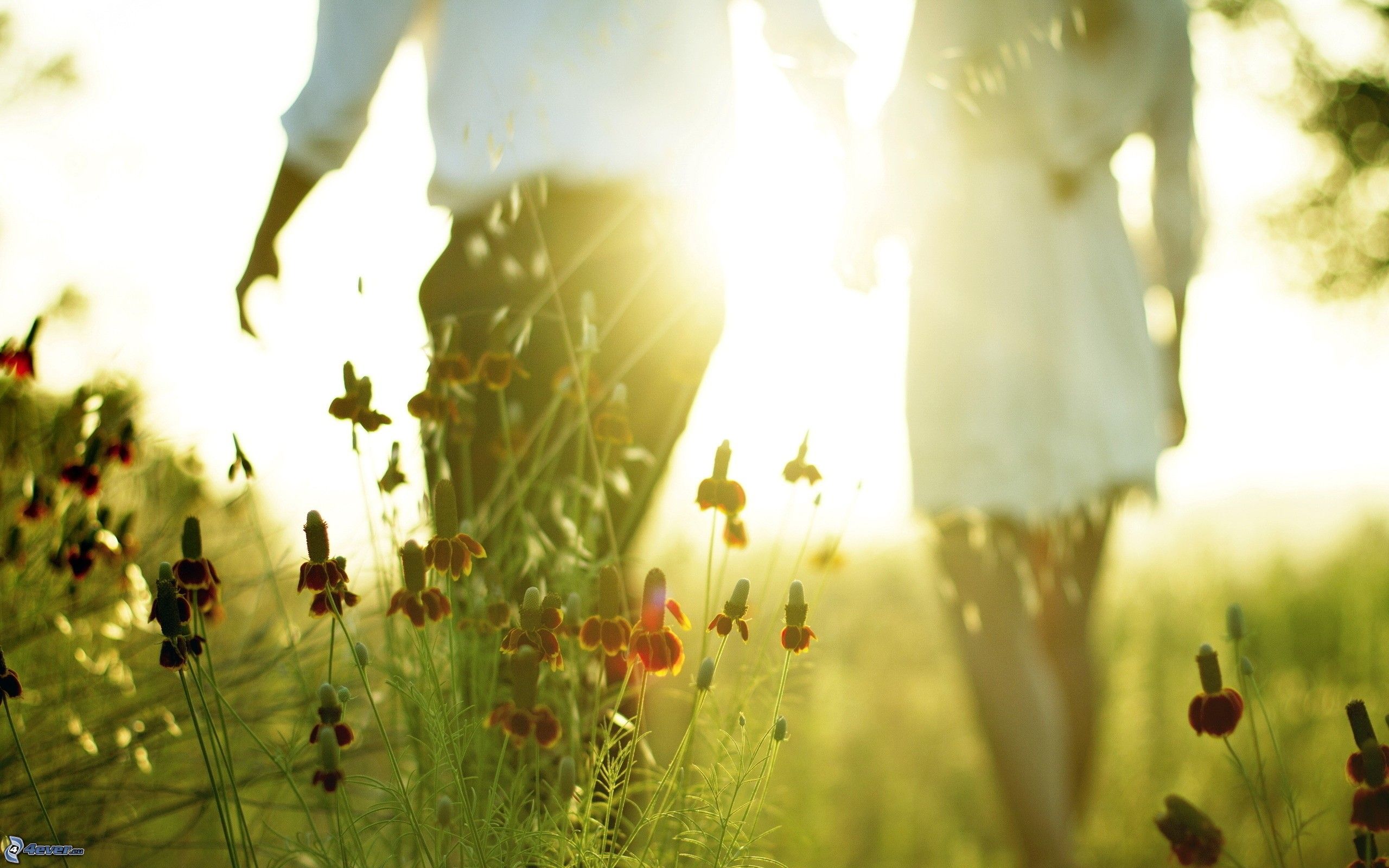 Мы, как пара сумасшедших ребят