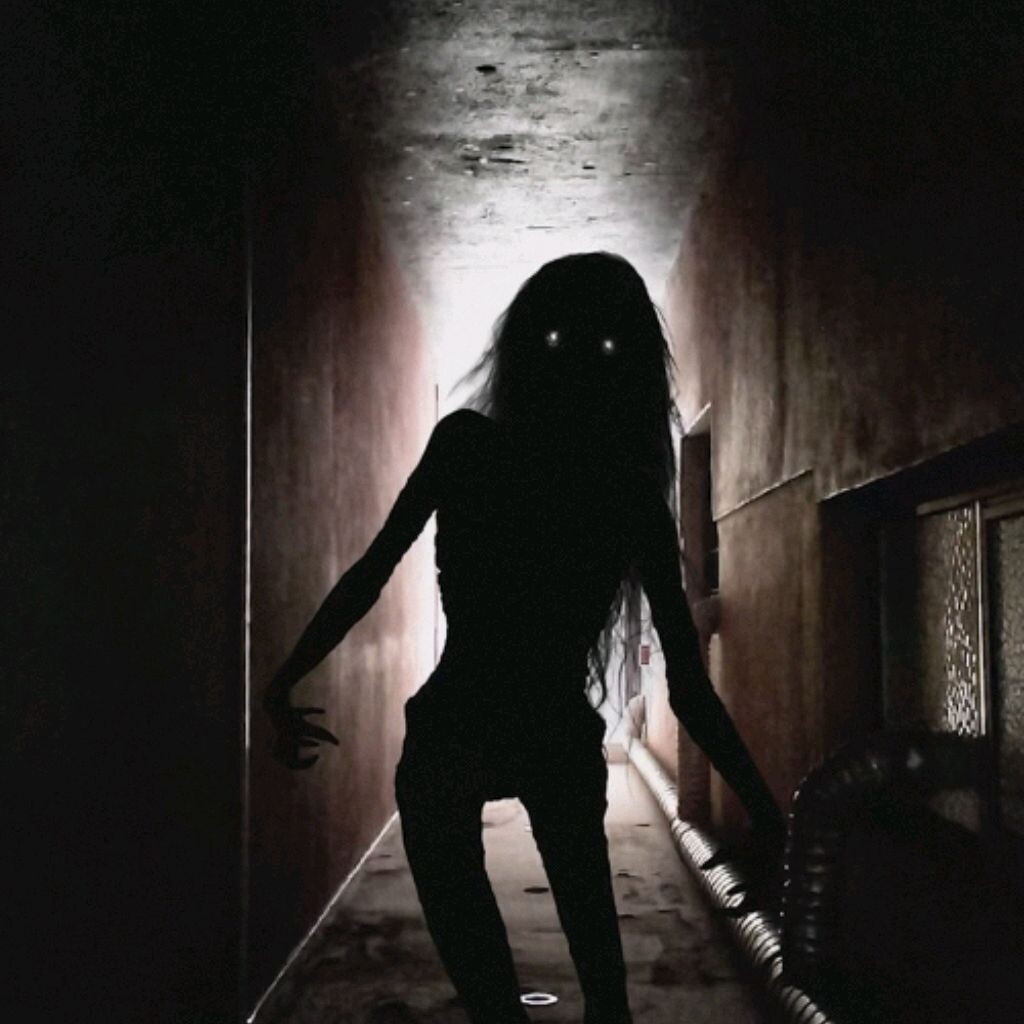 Тень в полночной тиши