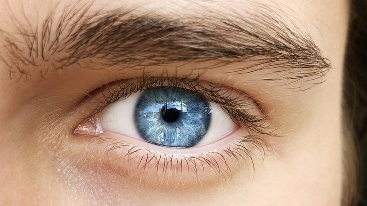 Синеглазый мальчик мой