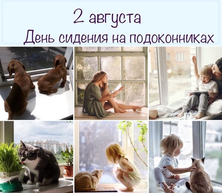 Сеанс на подоконнике