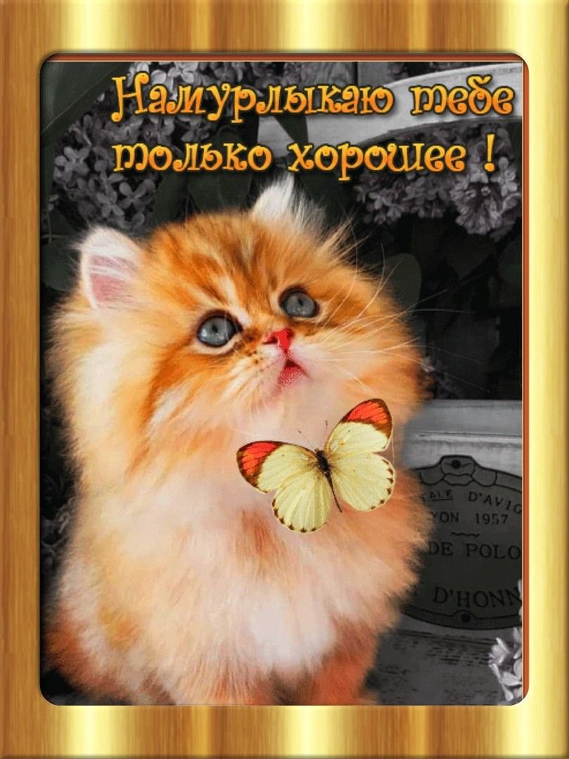 Приносить пользу...