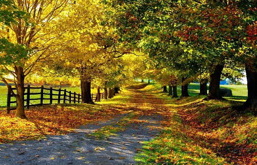 Нет у жизни конца. Песня