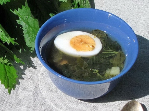 Крапивные ЩИ. Гастрономическая шутка