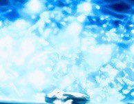 Ночь в реверансе приглашала