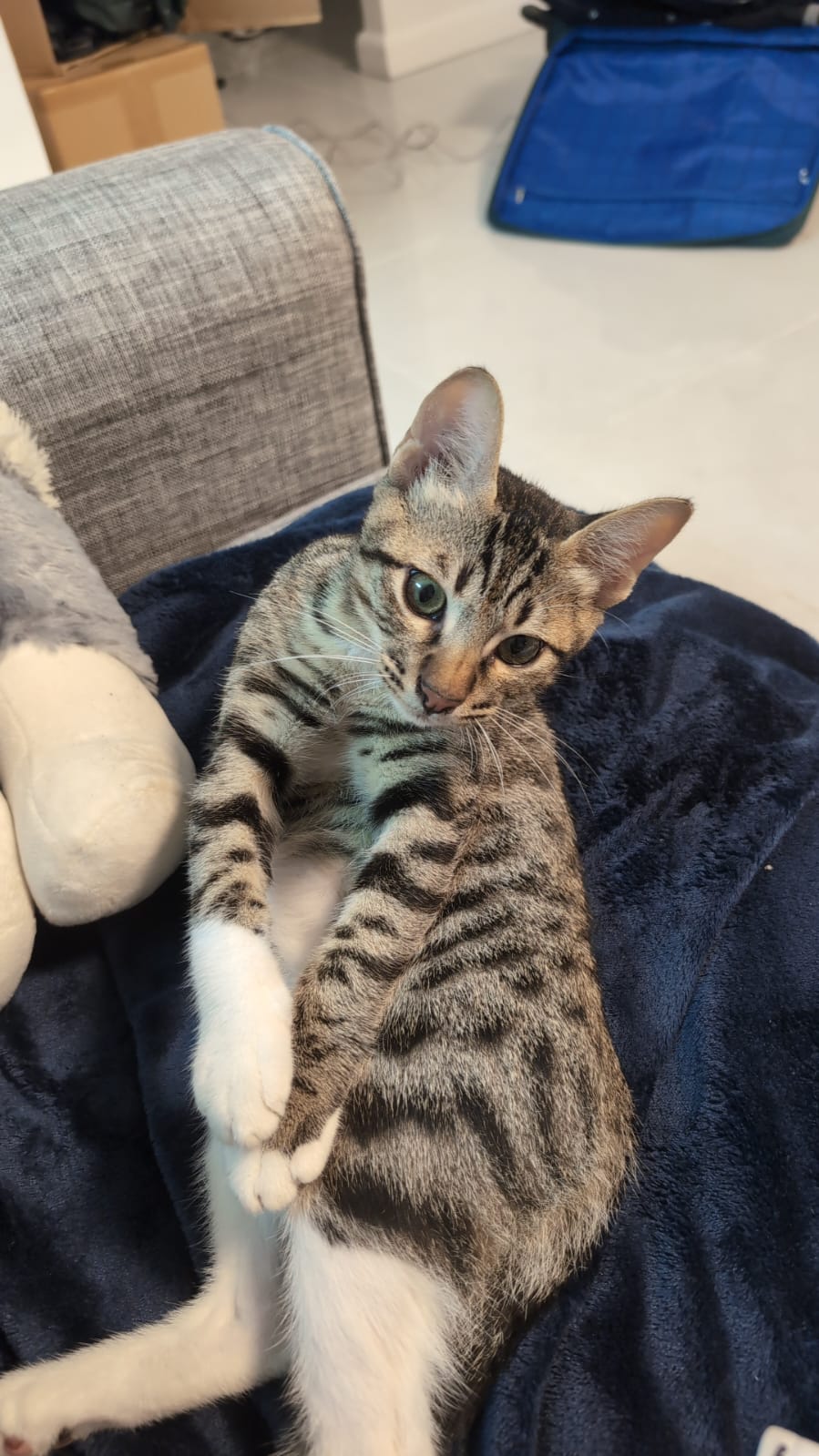 В моей коллекции имен...