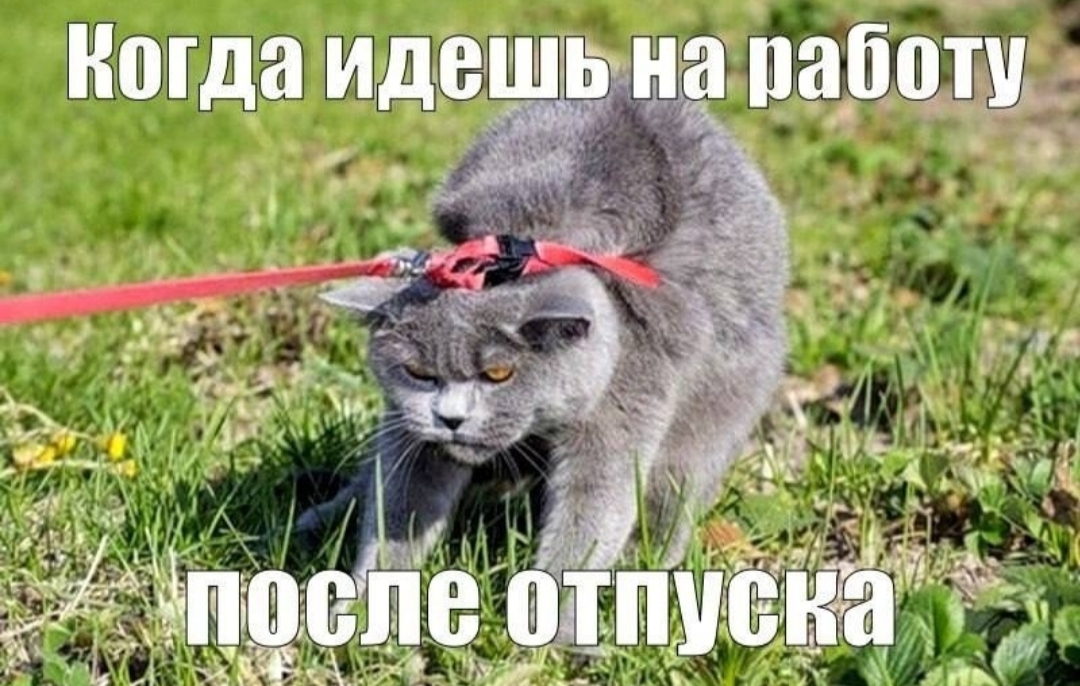 Перспектива