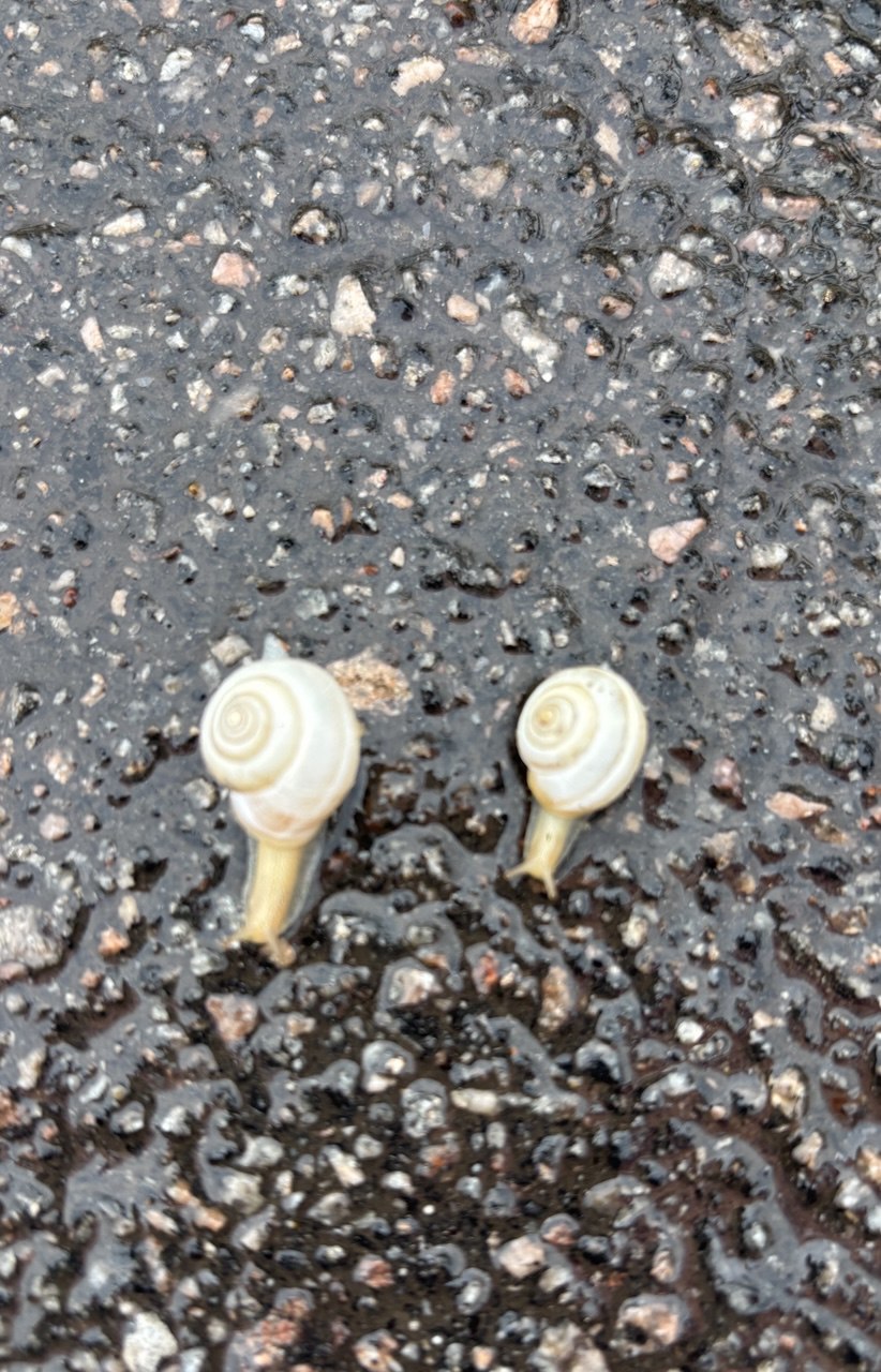 По тропинкам памяти