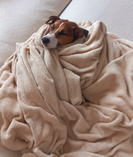 Когда ненастно за окном