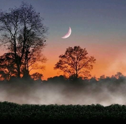 Выйду в темную ночь