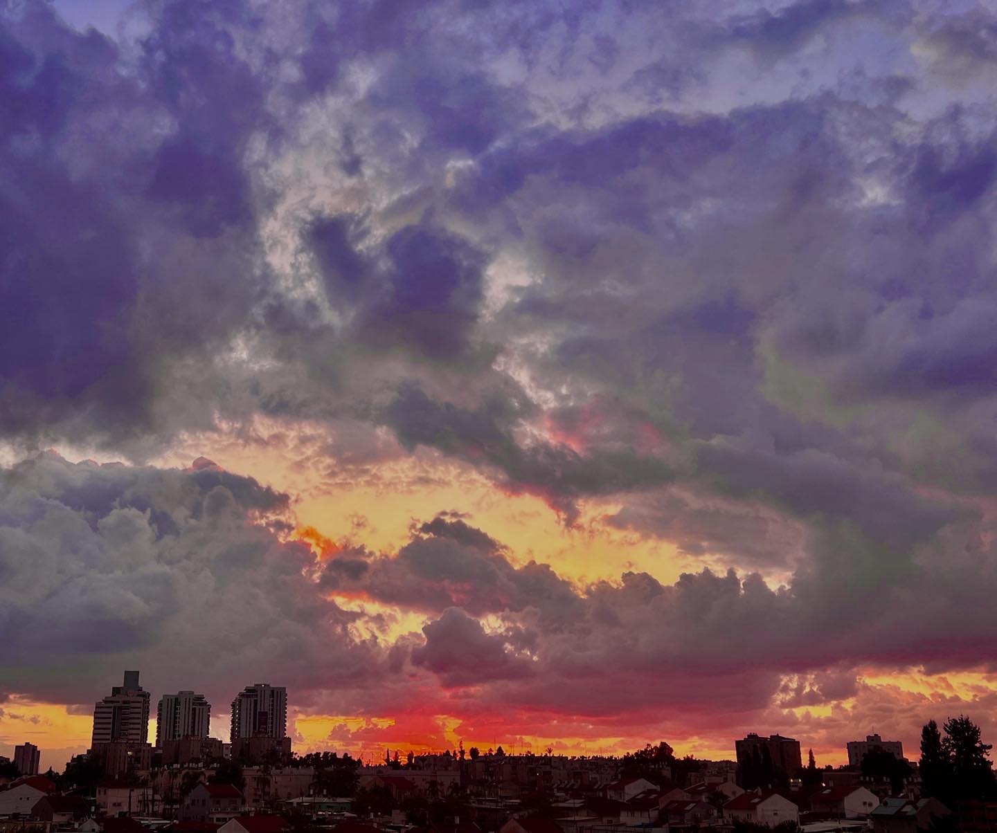 Сорвались гончие