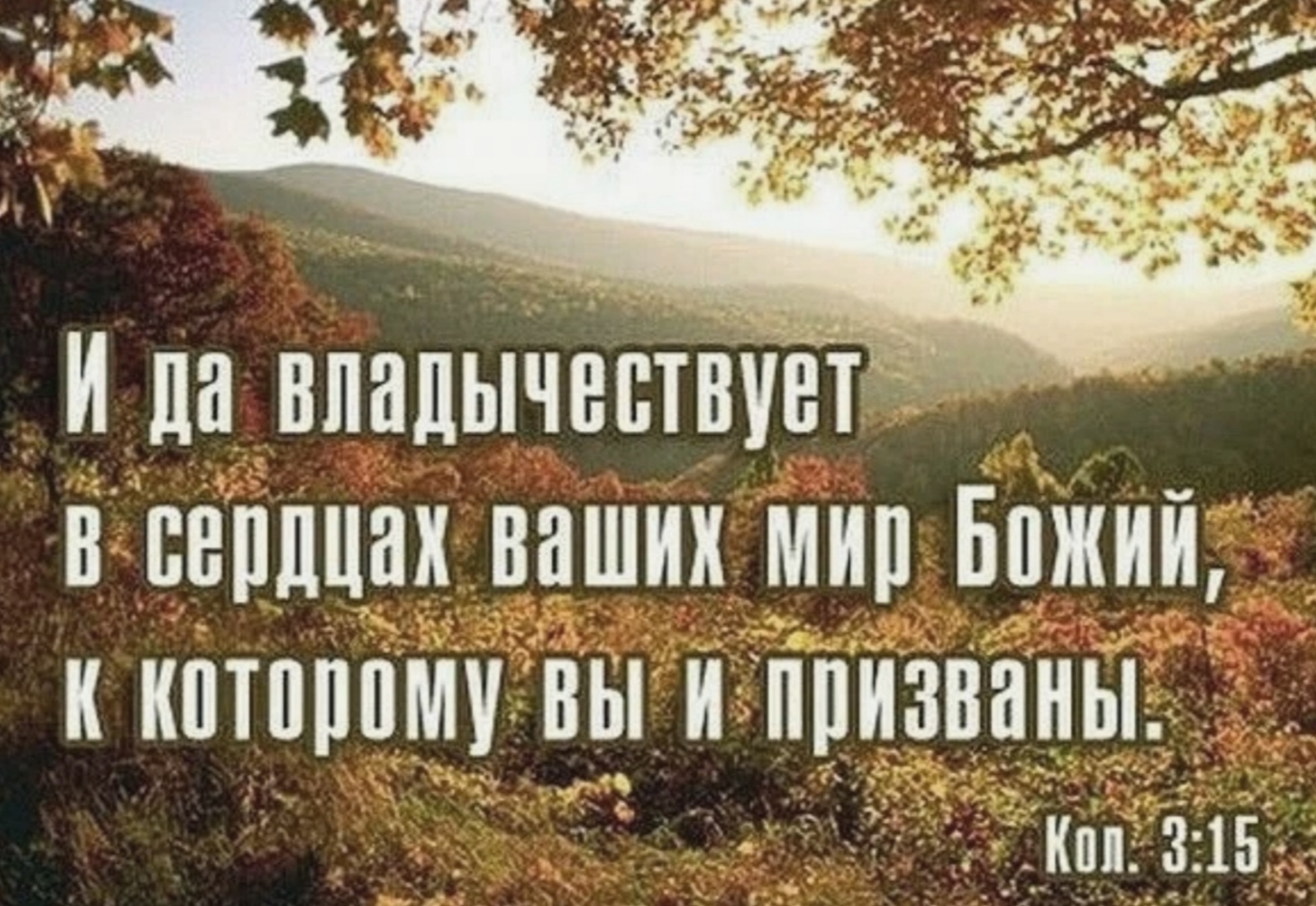 Дождливое счастье