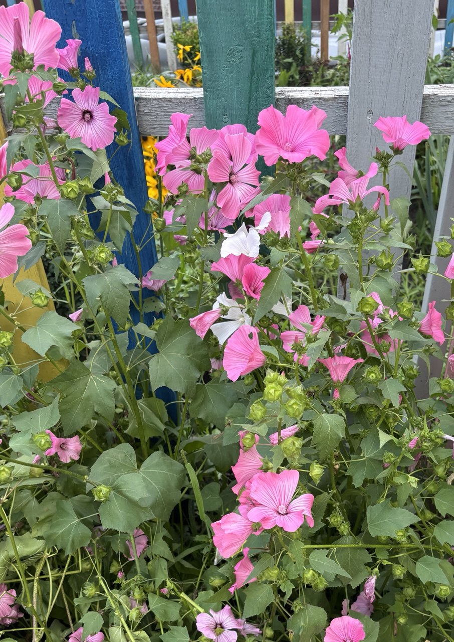 По памяти проскоком