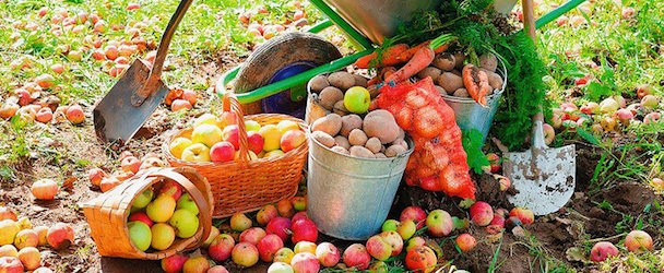 Из лета к осени мосток