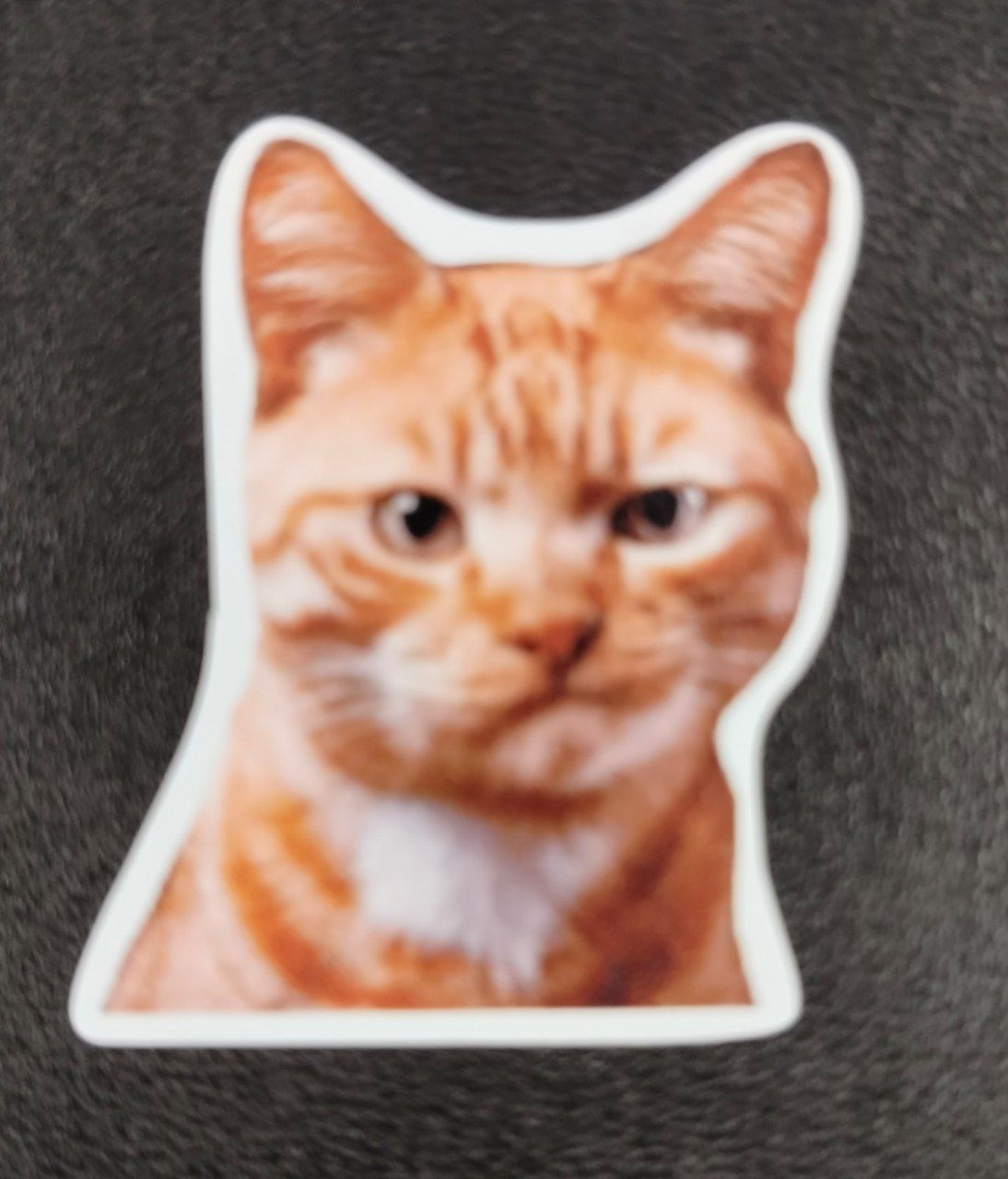 Теория заговора