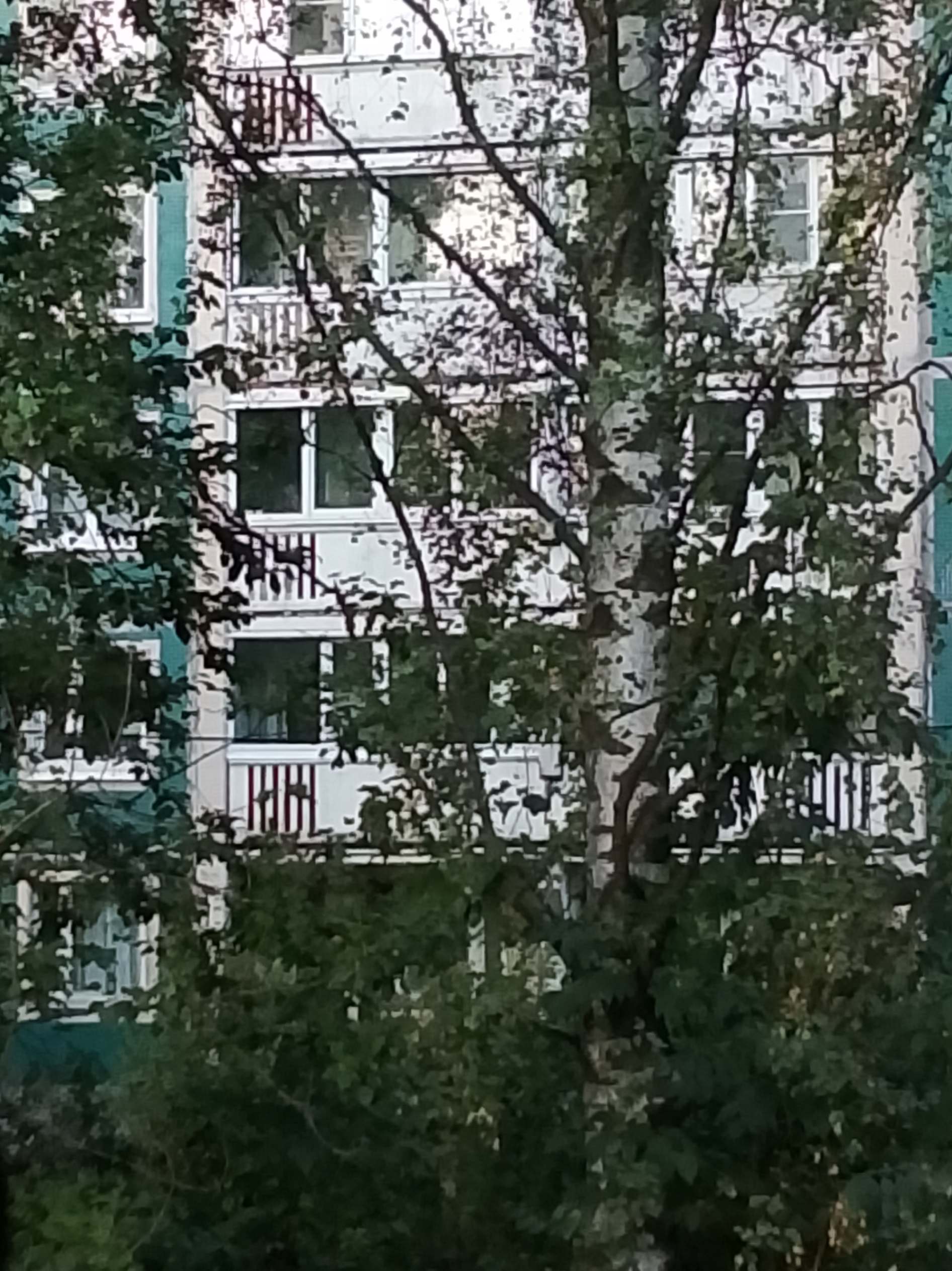 Рассвет