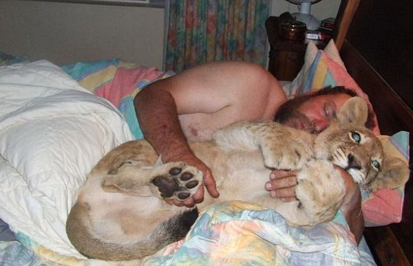 Когда снятся львята