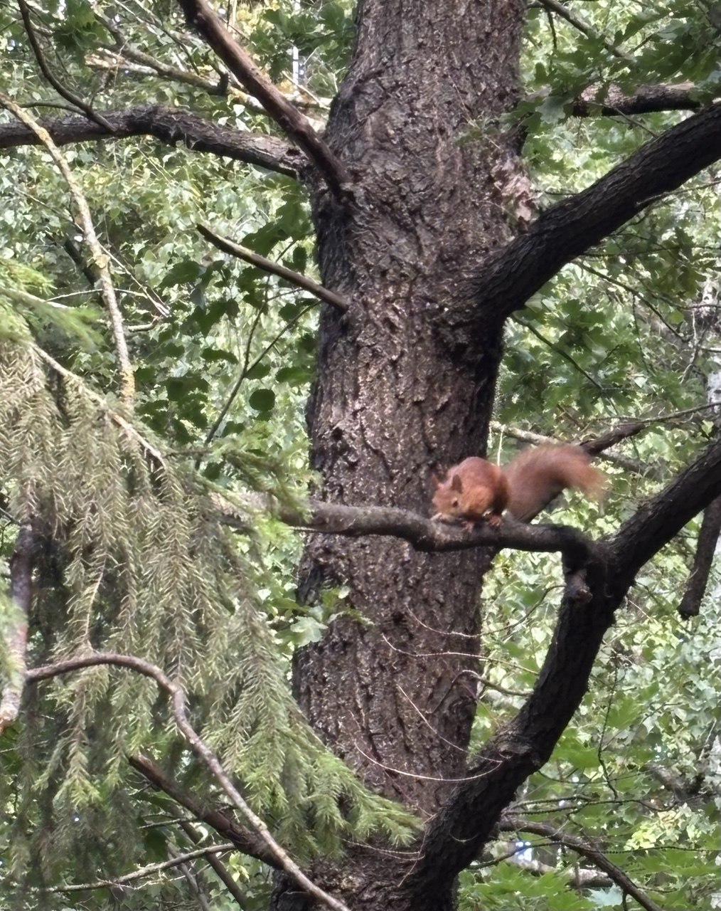 В обёртке прерванного сна