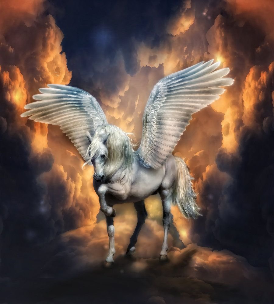 Я слишком увлеклась