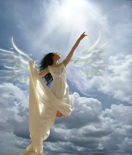 Мне б птицей стать