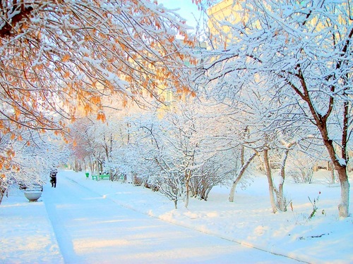 Зима помянет осень