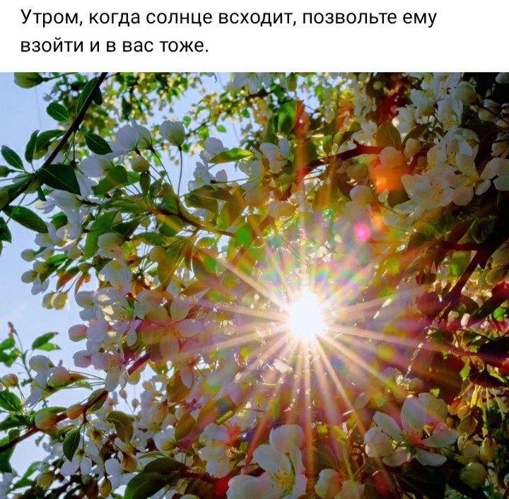 Весенняя заря