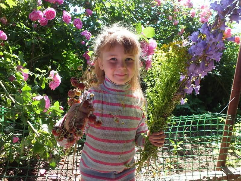 Эмили Дикинсон J102 Великий Цезарь! Снизойди