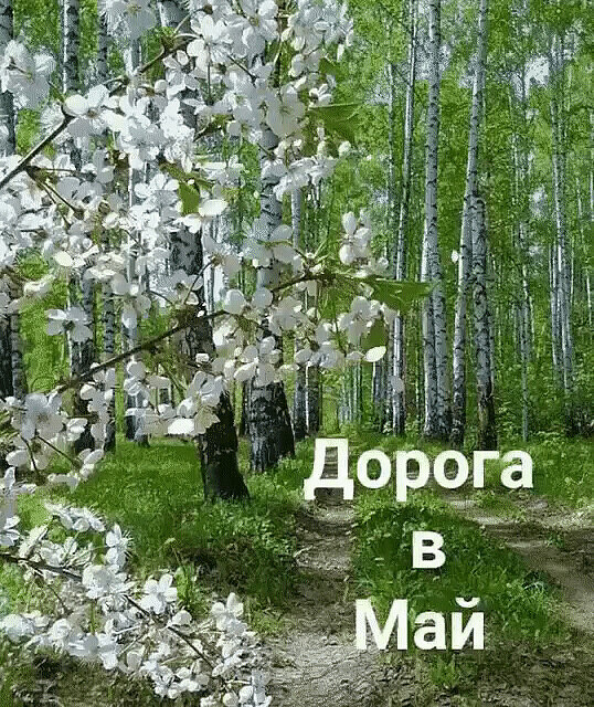 Песня Романтиков