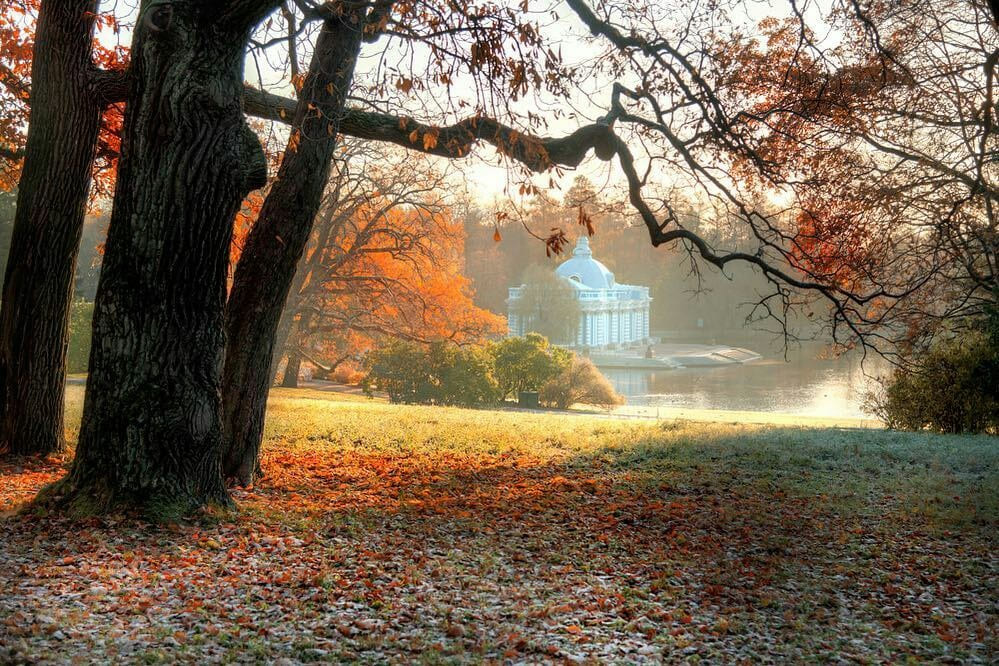 Осень в Царском селе, до чего ж ты прекрасна!