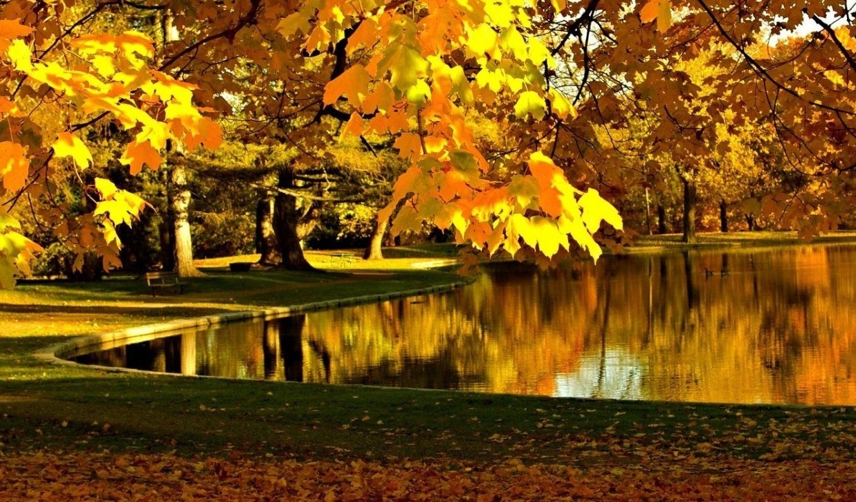 Мне нравится юная осень