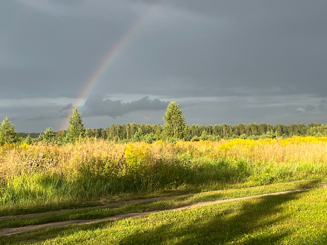 Сияет радуга над полем