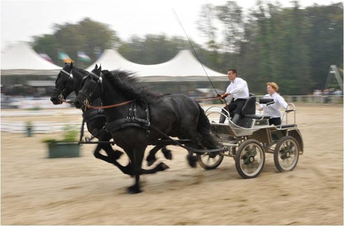 Как музыкант и поэт о первостепенности спорили