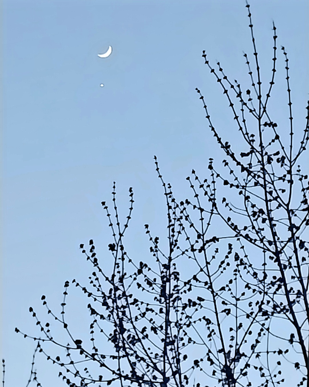 Новолуние, полнолуние